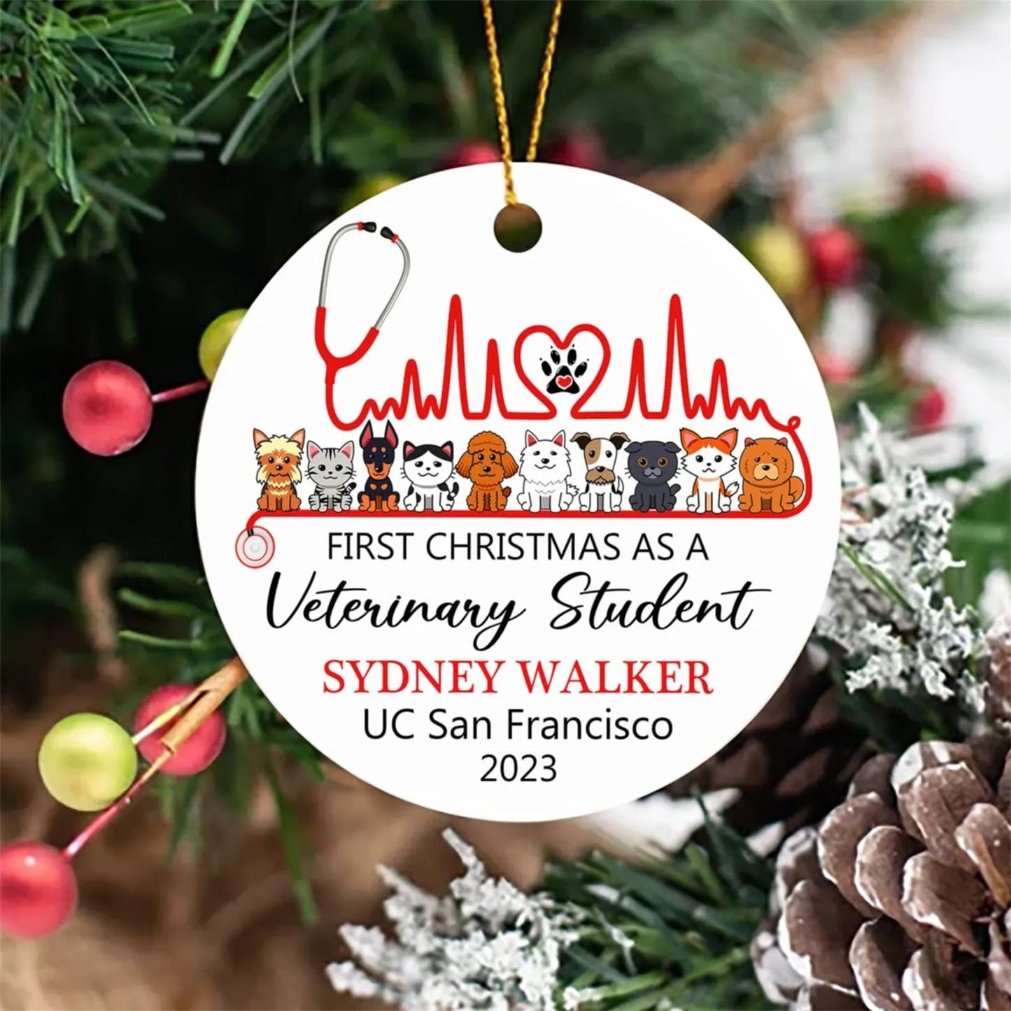 Sb00b13f283644598aedf3f47c278b7e7L